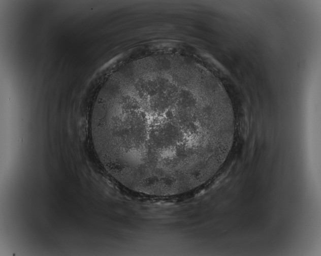 X0000087010821200704161540