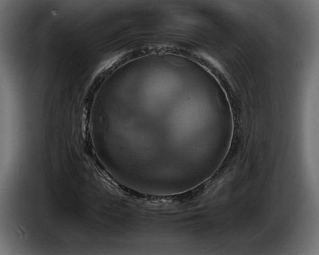 X0000087010823200704161540