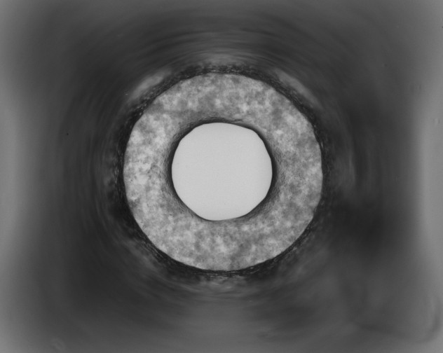 X0000087010824200704161540