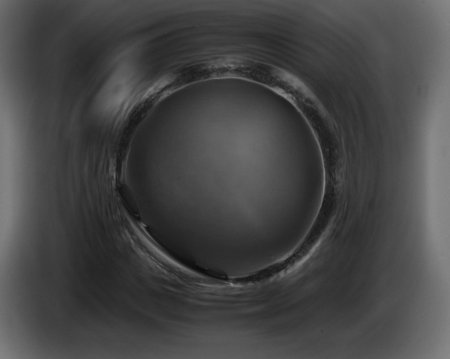 X0000087010825200704161540