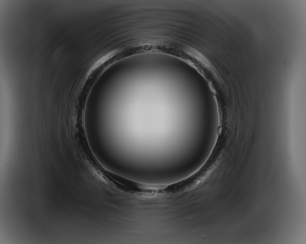 X0000087010826200704161540