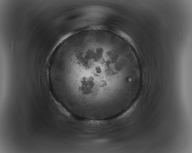 X0000087010827200704161540