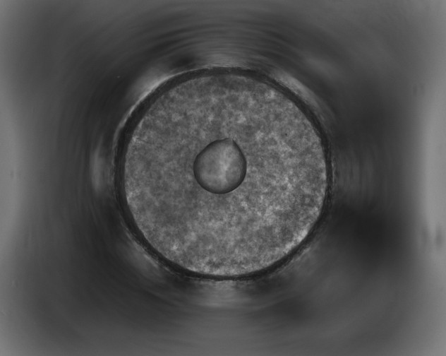 X0000087010828200704161540
