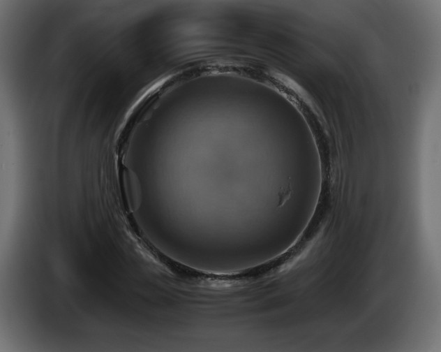 X0000087010829200704161540