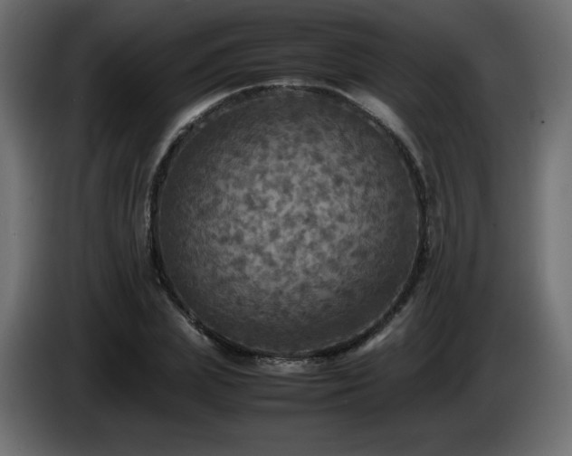 X0000087010831200704161540