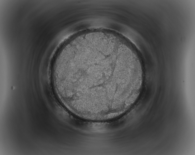 X0000087010832200704161540