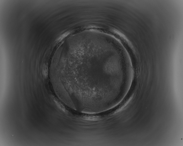 X0000087010833200704161540
