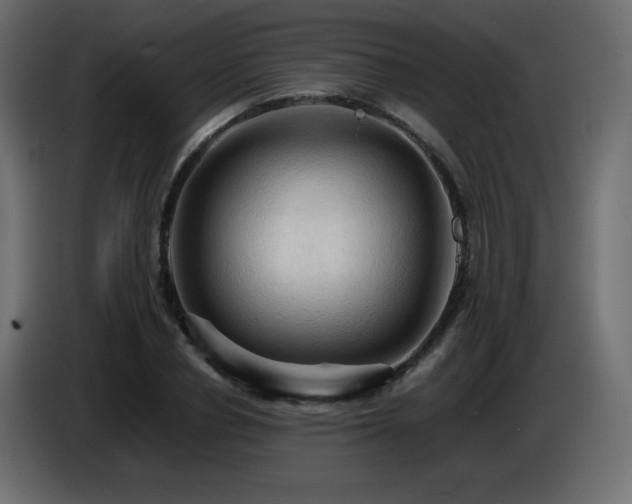 X0000087010834200704161540