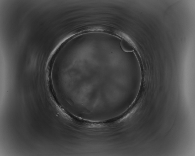 X0000087010835200704161540