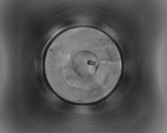 X0000087010836200704161540