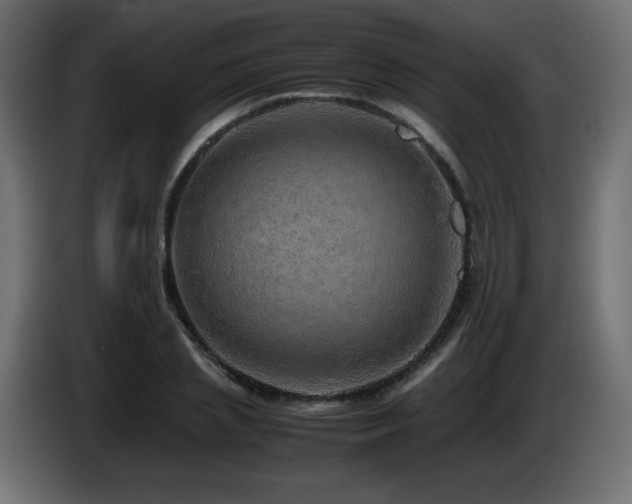 X0000087010837200704161540