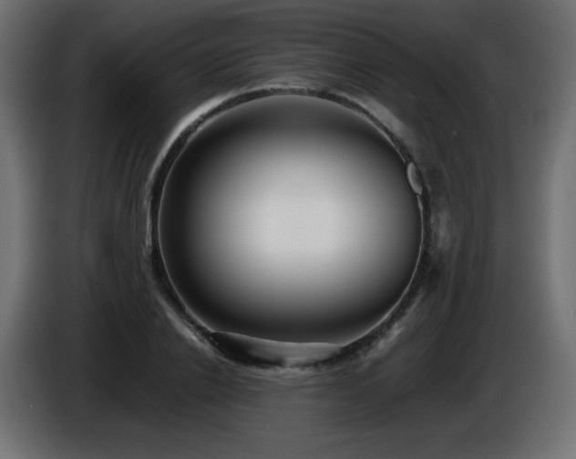 X0000087010838200704161540