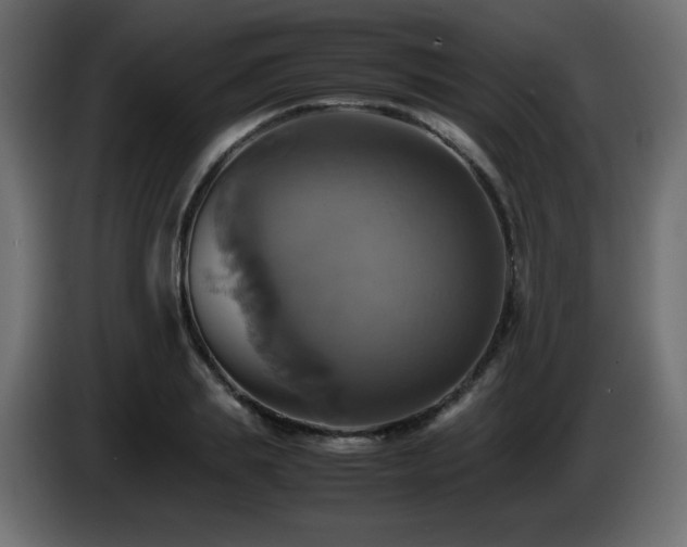 X0000087010839200704161540