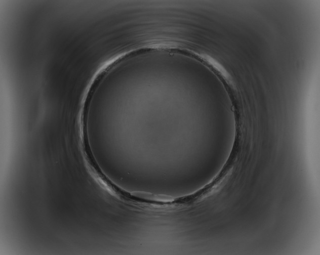 X0000087010840200704161540