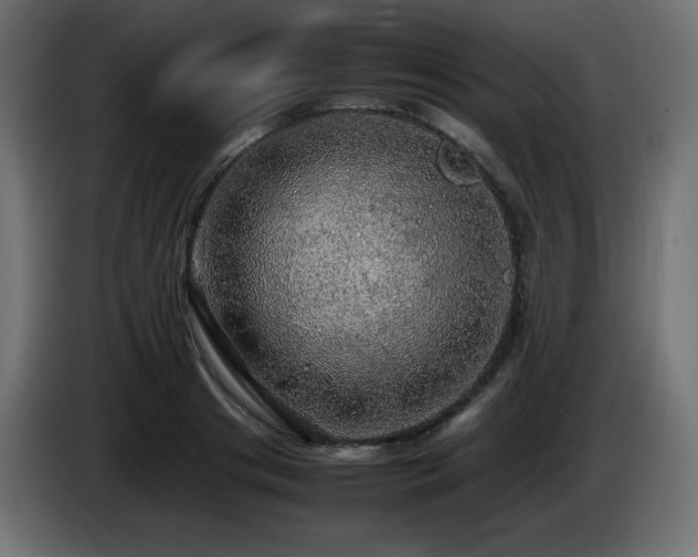 X0000087010841200704161540