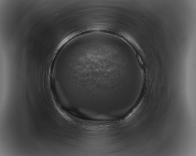 X0000087010842200704161540