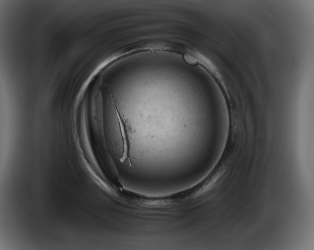 X0000087010843200704161540
