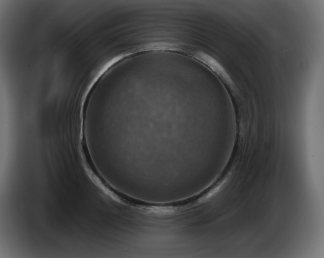 X0000087010844200704161540