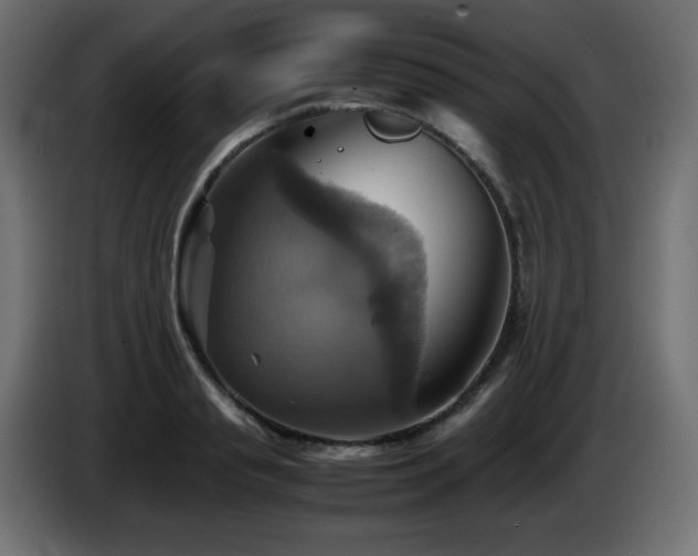X0000087010845200704161540