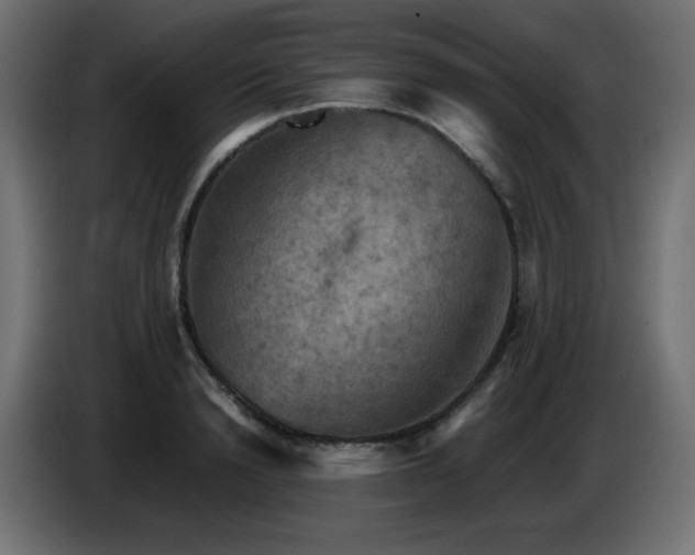 X0000087010846200704161540