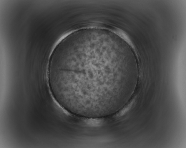 X0000087010847200704161540
