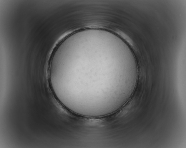 X0000087010848200704161540