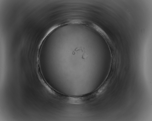 X0000087010852200704161540