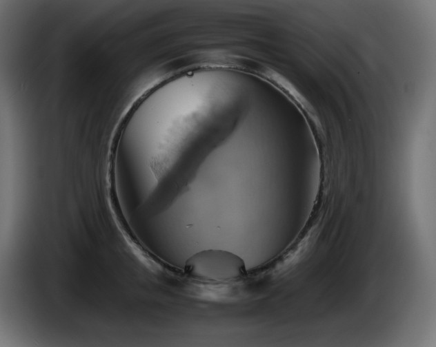 X0000087010853200704161540