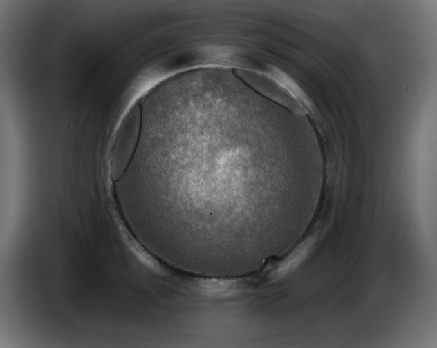 X0000087010854200704161540