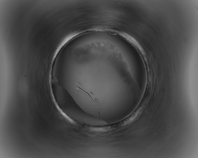 X0000087010855200704161540