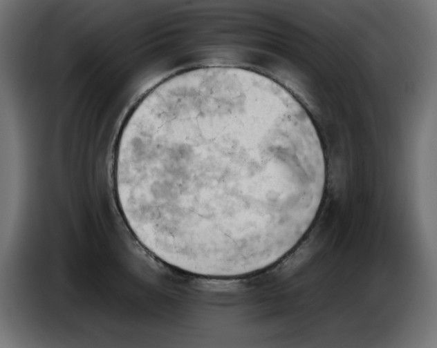X0000087010856200704161540
