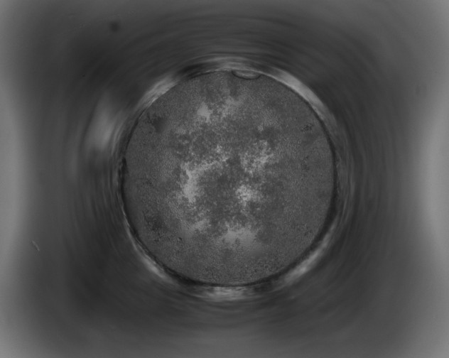 X0000087010857200704161540