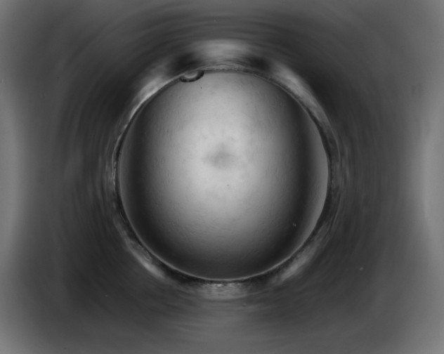 X0000087010858200704161540