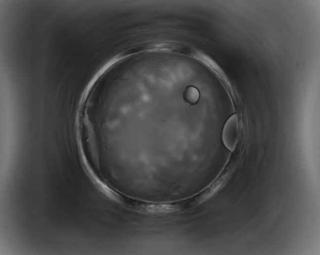 X0000087010859200704161540