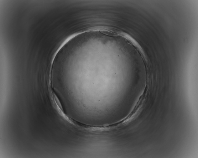 X0000087010860200704161540