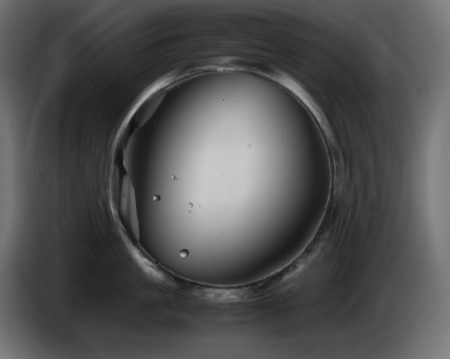 X0000087010861200704161540