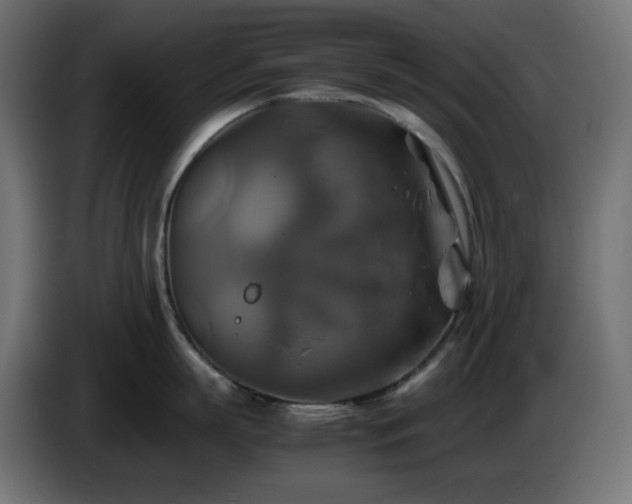 X0000087010863200704161541