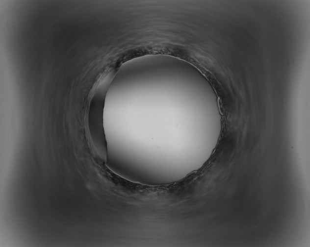 X0000087010865200704161540