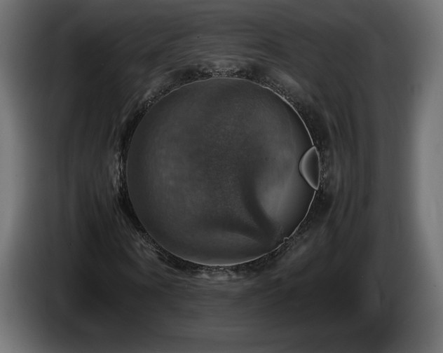 X0000087010866200704161540