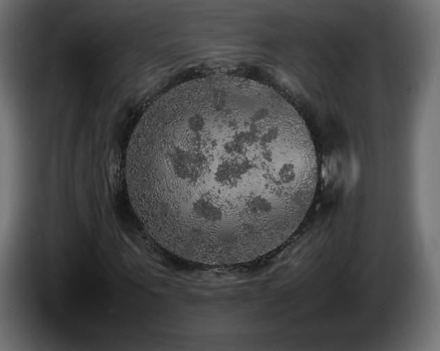X0000087010867200704161540