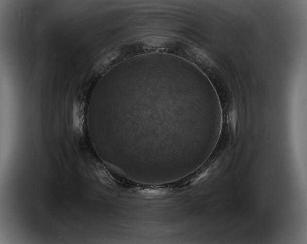 X0000087010868200704161540