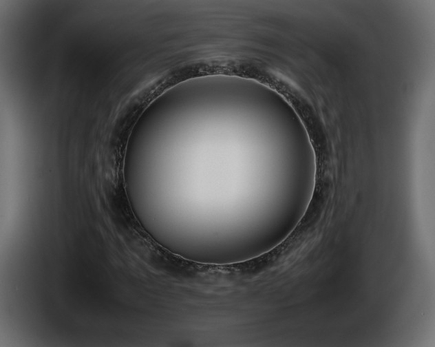 X0000087010869200704161540