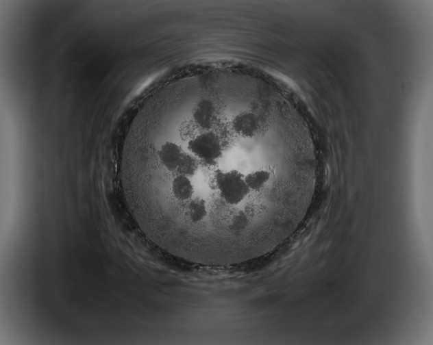 X0000087010871200704161540
