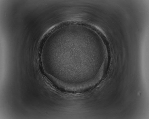 X0000087010872200704161540