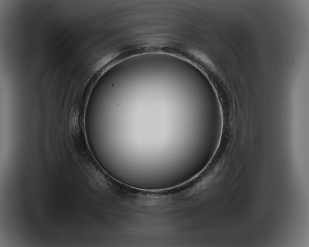 X0000087010873200704161540