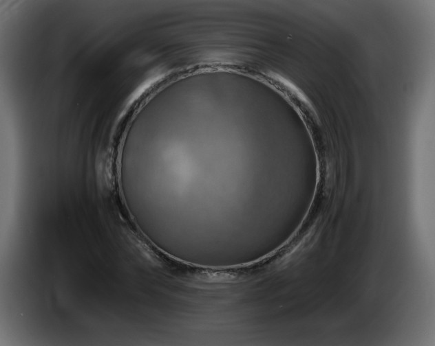 X0000087010878200704161540