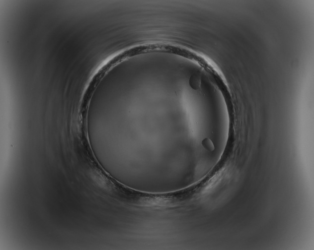 X0000087010879200704161540