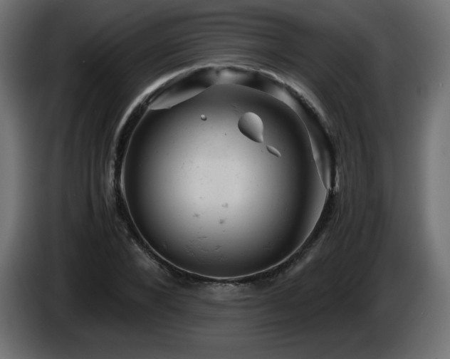 X0000087010880200704161540