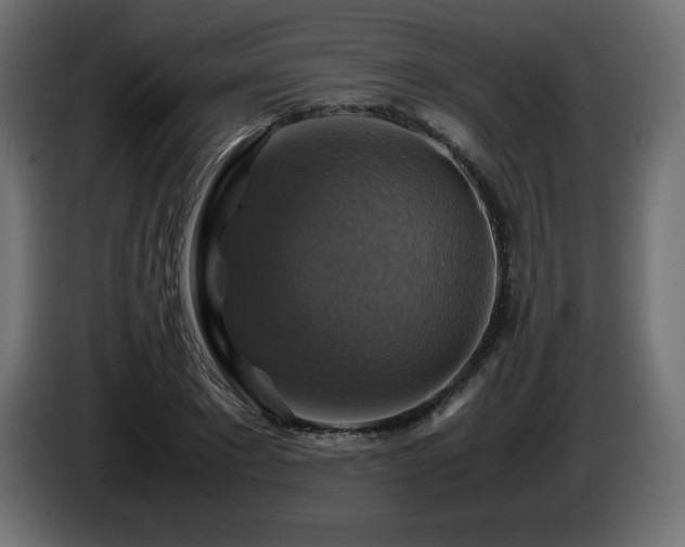 X0000087010881200704161540