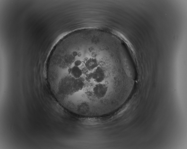 X0000087010883200704161540